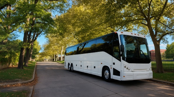 kalamazoo wedding transportation